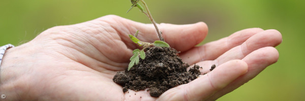 Beispielbild für das Entwicklungsgespräch